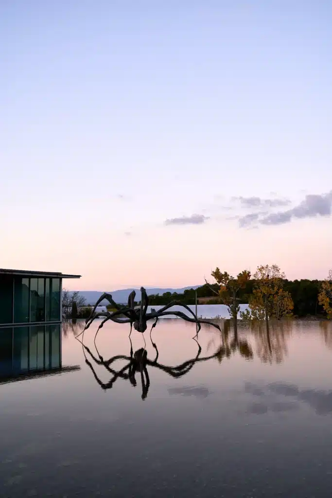 Spider sculpture in mirror lake at chateau la coste